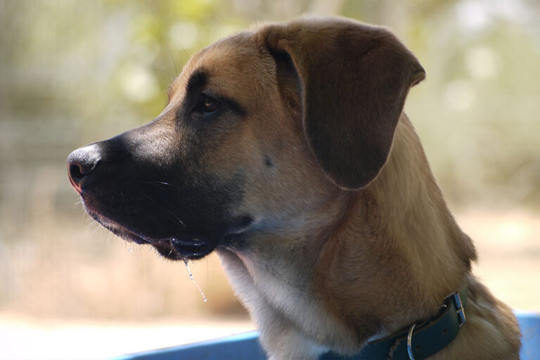 multimedia-foto79517-235-1