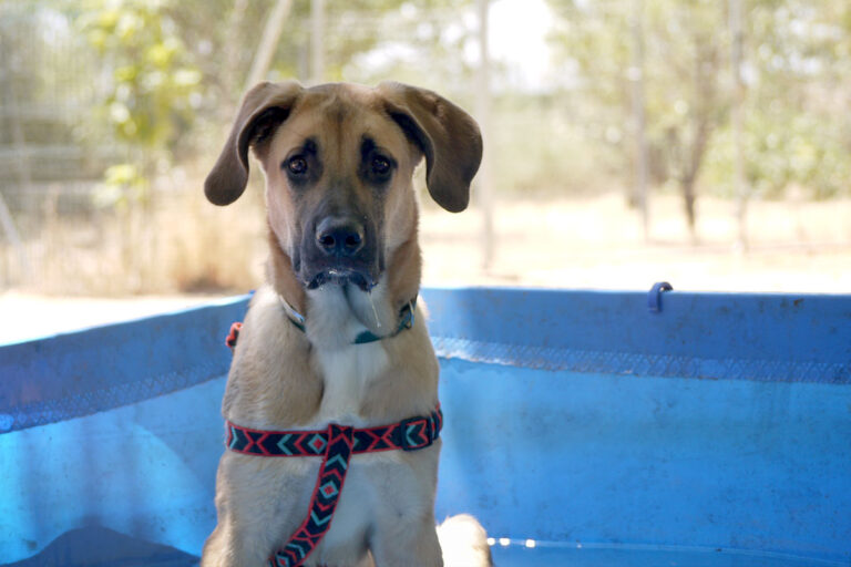 multimedia-foto79518-235-1