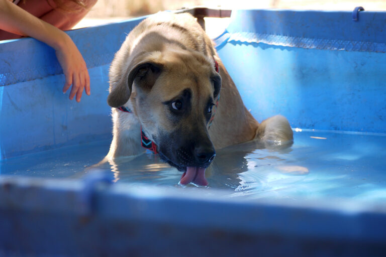 multimedia-foto79519-235-1