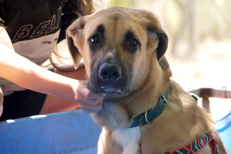 multimedia-foto79521-235-1