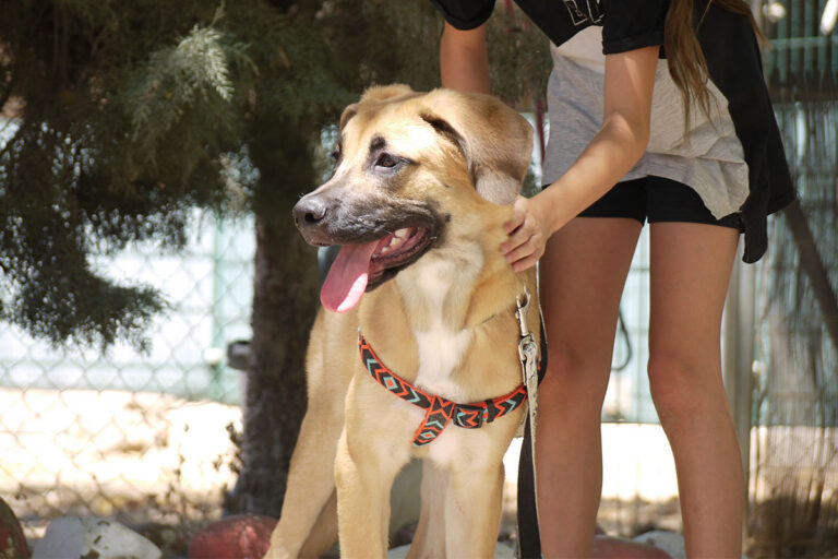 multimedia-foto79522-236-1