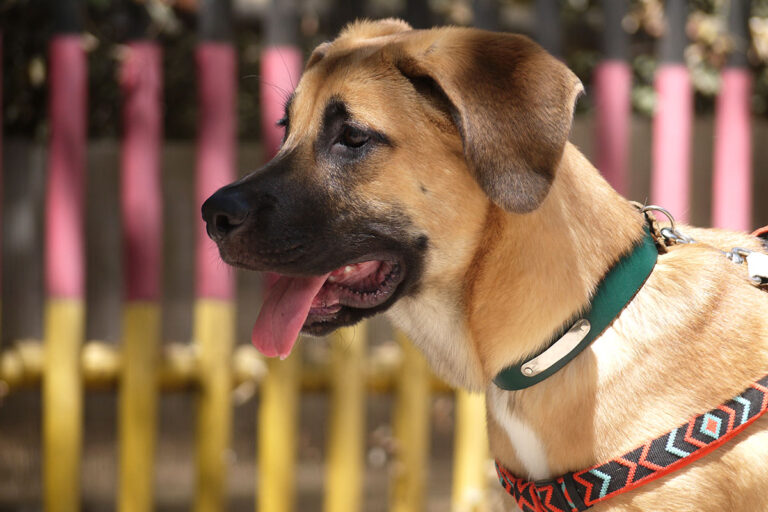 multimedia-foto79523-236-1