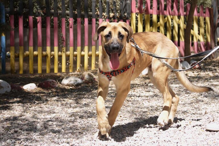 multimedia-foto79524-236-1