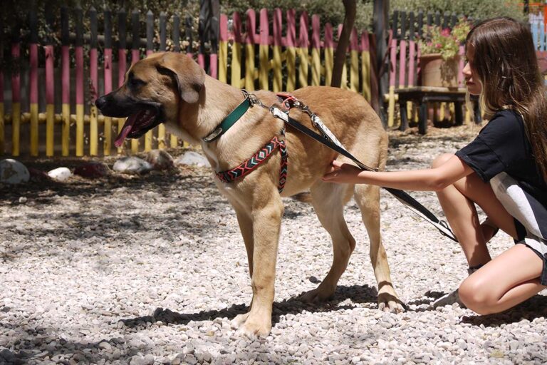 multimedia-foto79525-236-1