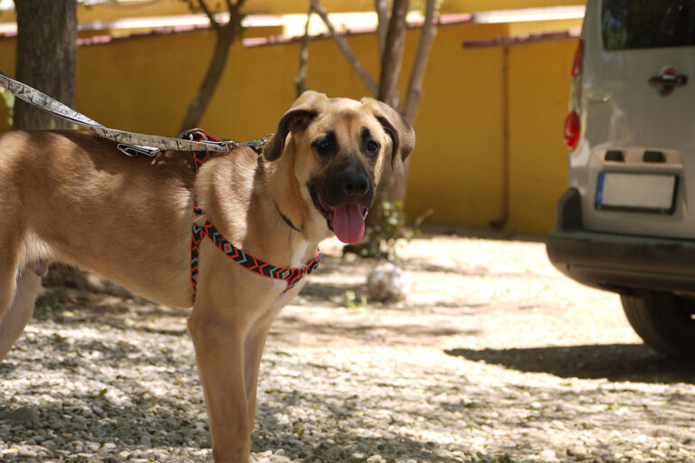 multimedia-foto79527-237-1