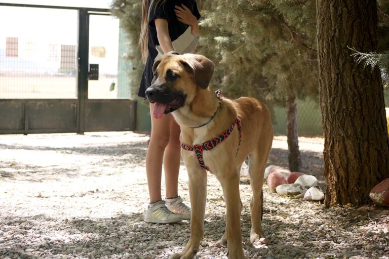 multimedia-foto79528-237-1