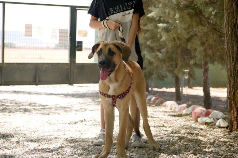 multimedia-foto79529-237-1