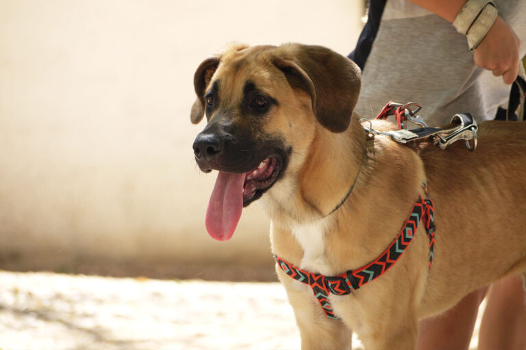 multimedia-foto79531-237-1