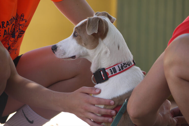 multimedia-foto79532-482-1