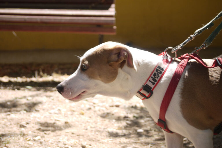 multimedia-foto79534-482-1