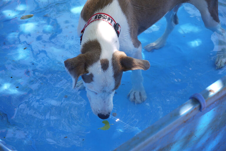 multimedia-foto79537-483-1