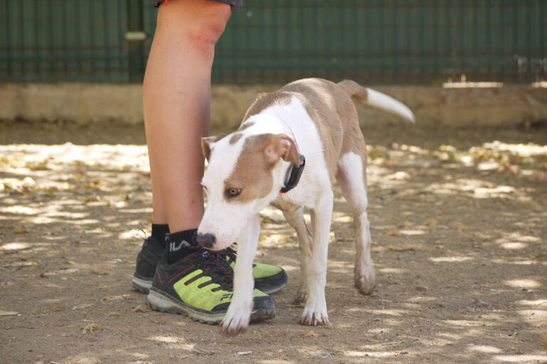 multimedia-foto79538-483-1