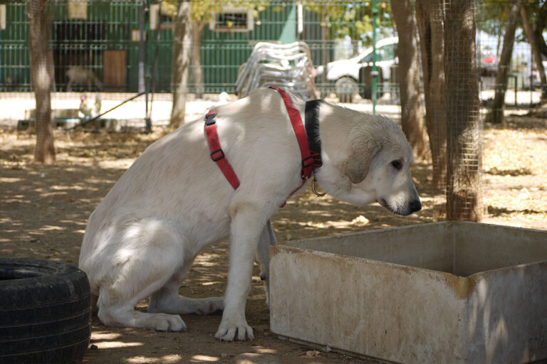 multimedia-foto79579-710-1