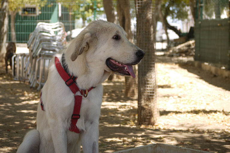 multimedia-foto79580-710-1