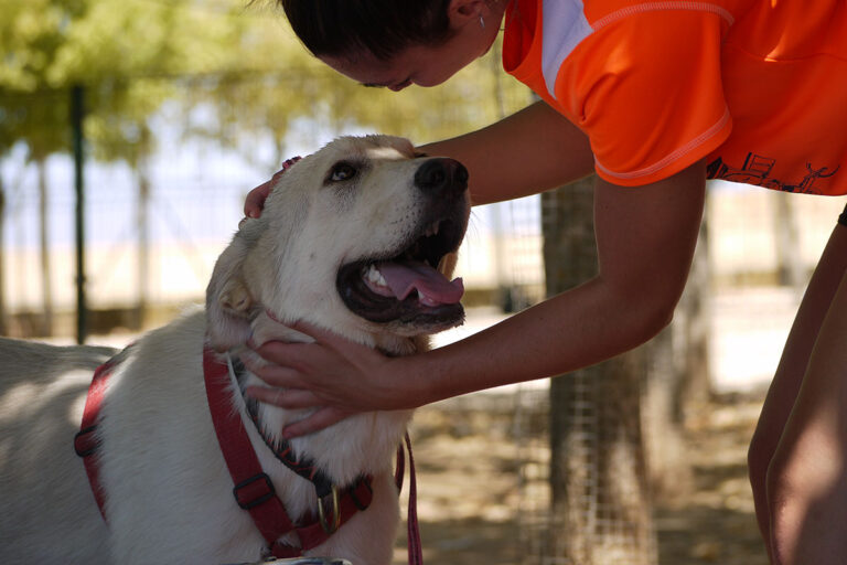 multimedia-foto79581-710-1