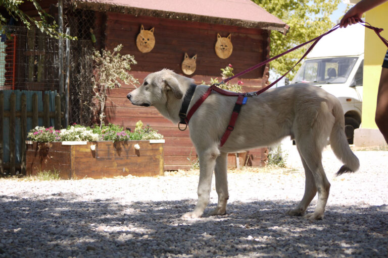 multimedia-foto79582-710-1