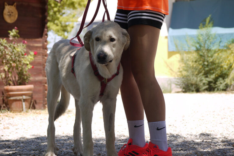 multimedia-foto79583-710-1