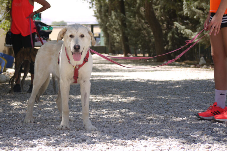 multimedia-foto79584-711-1