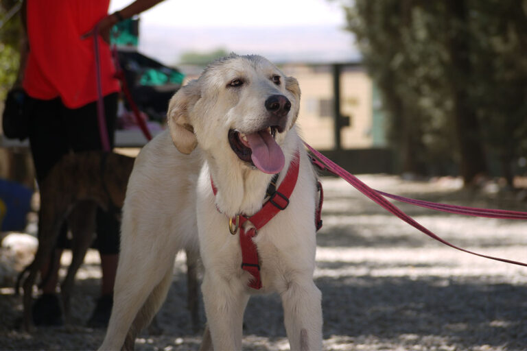 multimedia-foto79585-711-1