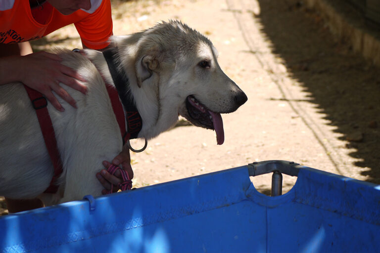 multimedia-foto79586-711-1