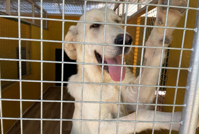 multimedia-foto79587-711-1