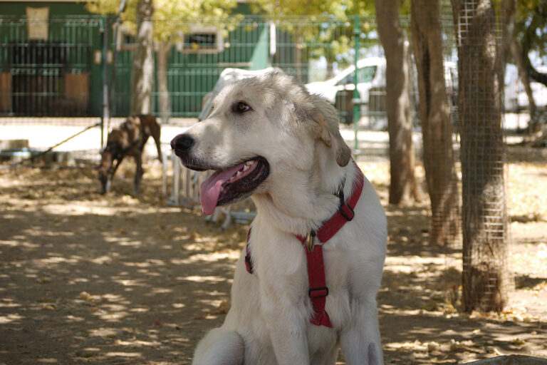 multimedia-foto79588-711-1