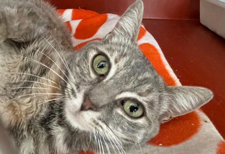 multimedia-foto79628-20-1