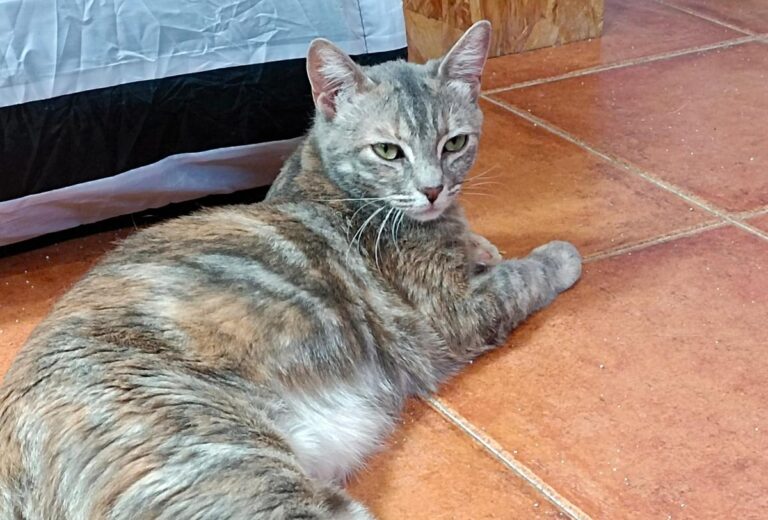 multimedia-foto79629-20-1