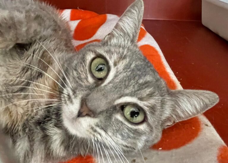 multimedia-foto79630-20-1