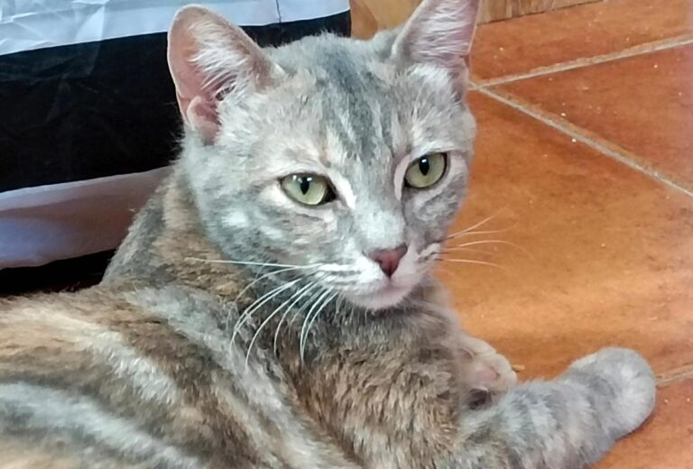 multimedia-foto79631-20-1