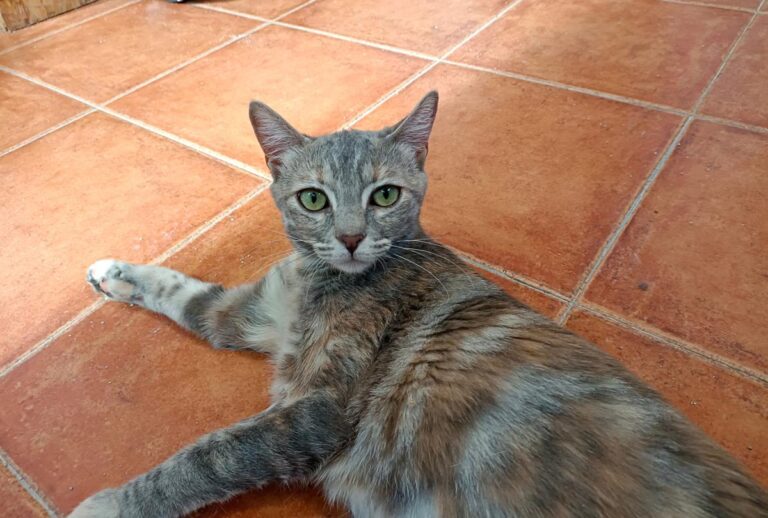 multimedia-foto79632-20-1