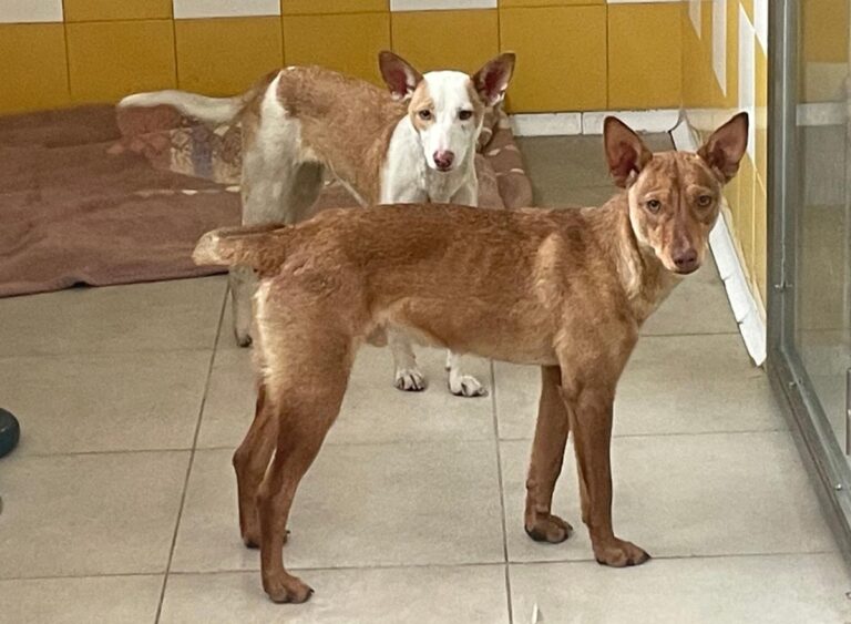 multimedia-foto79643-697-1