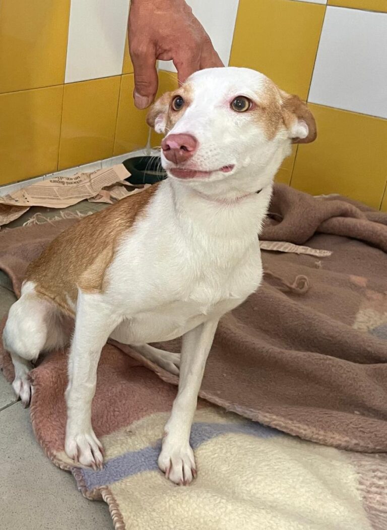 multimedia-foto79644-799-1