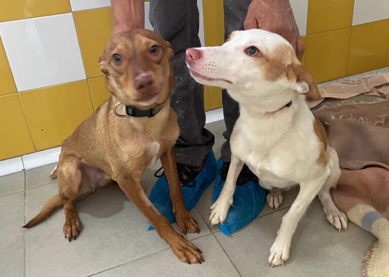 multimedia-foto79646-799-1