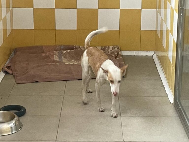 multimedia-foto79649-800-1