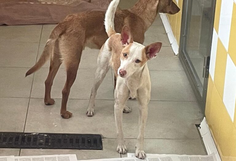 multimedia-foto79658-805-1