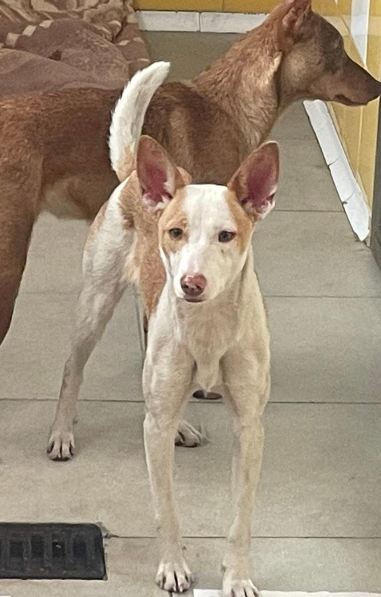 multimedia-foto79659-805-1