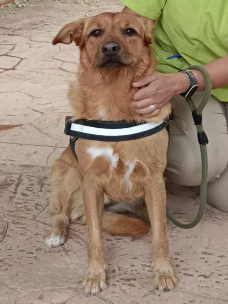 multimedia-foto79714-703-1