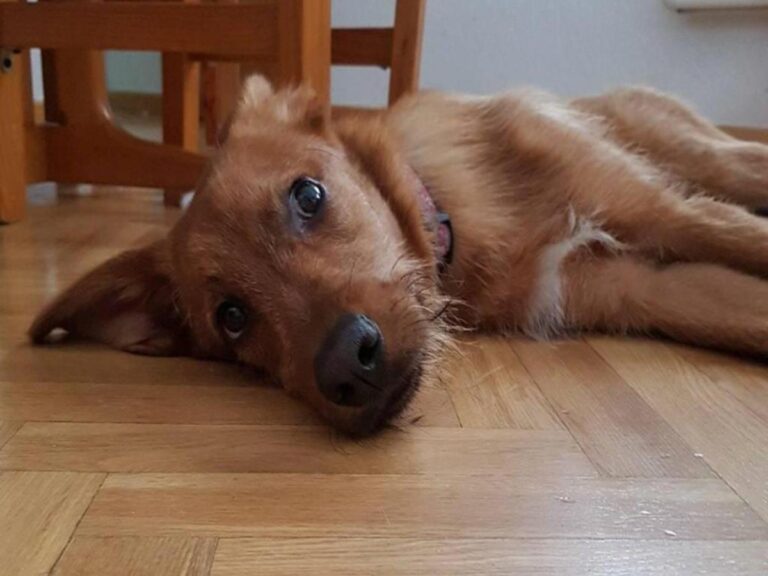 multimedia-foto79715-703-1