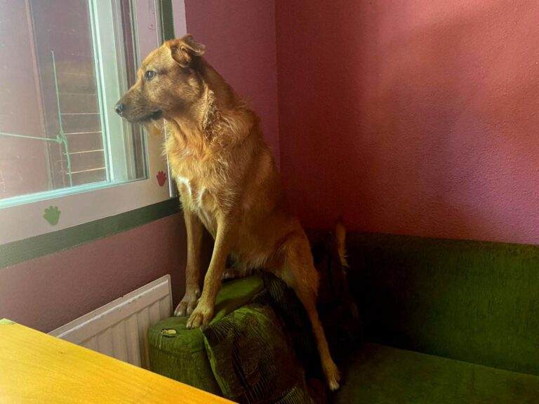 multimedia-foto79718-704-1