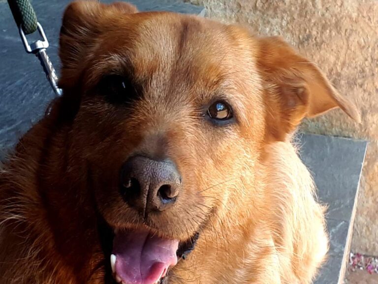 multimedia-foto79719-761-1