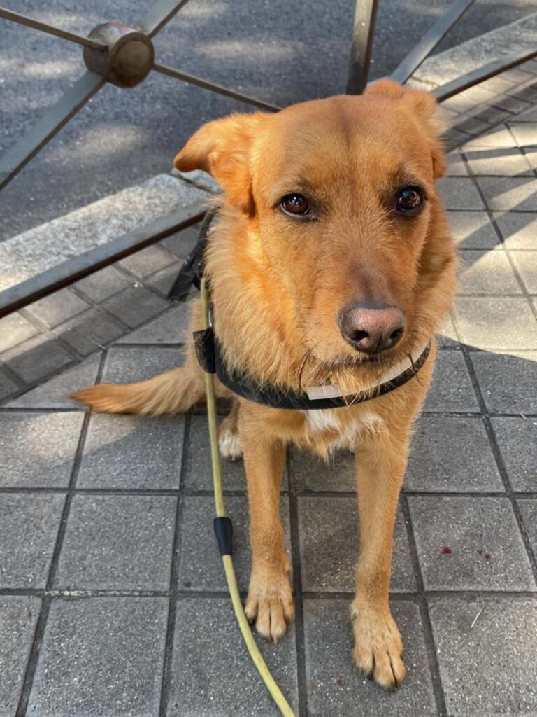 multimedia-foto79721-761-1