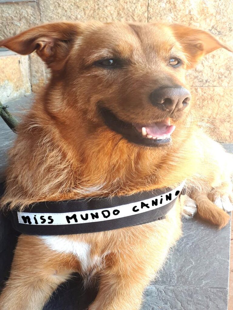 multimedia-foto79723-762-1