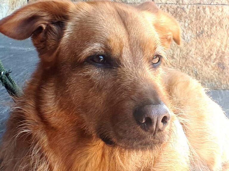 multimedia-foto79724-762-1