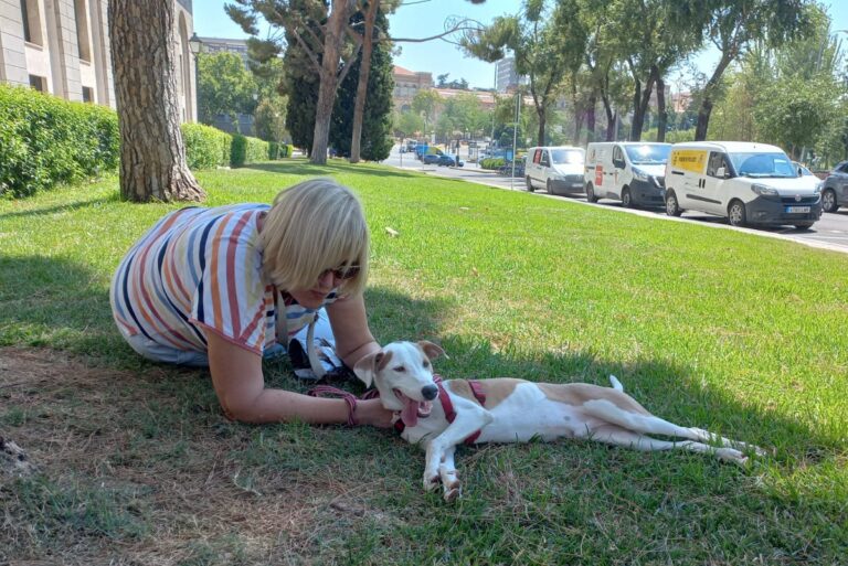 multimedia-foto79727-31-1