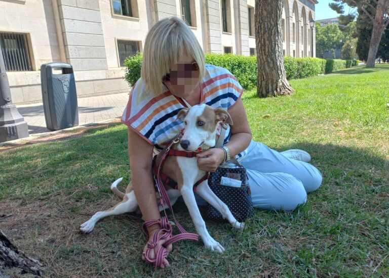 multimedia-foto79728-31-1