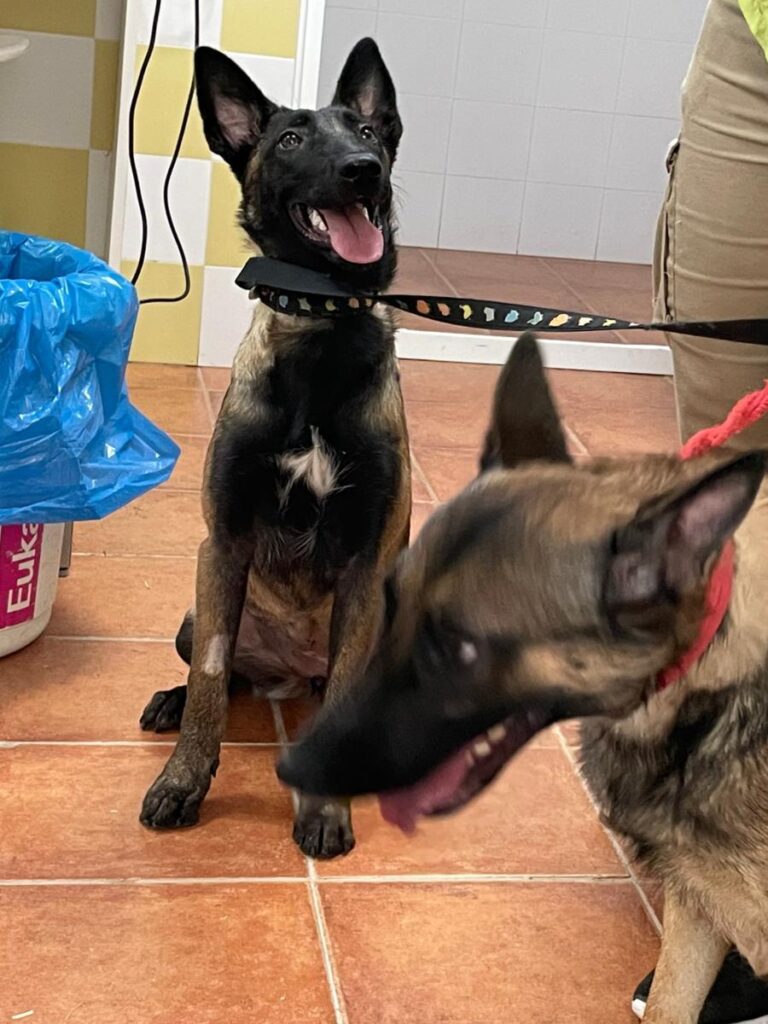 multimedia-foto79742-849-1