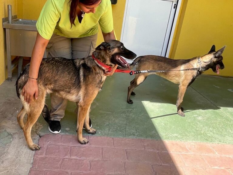 multimedia-foto79743-850-1