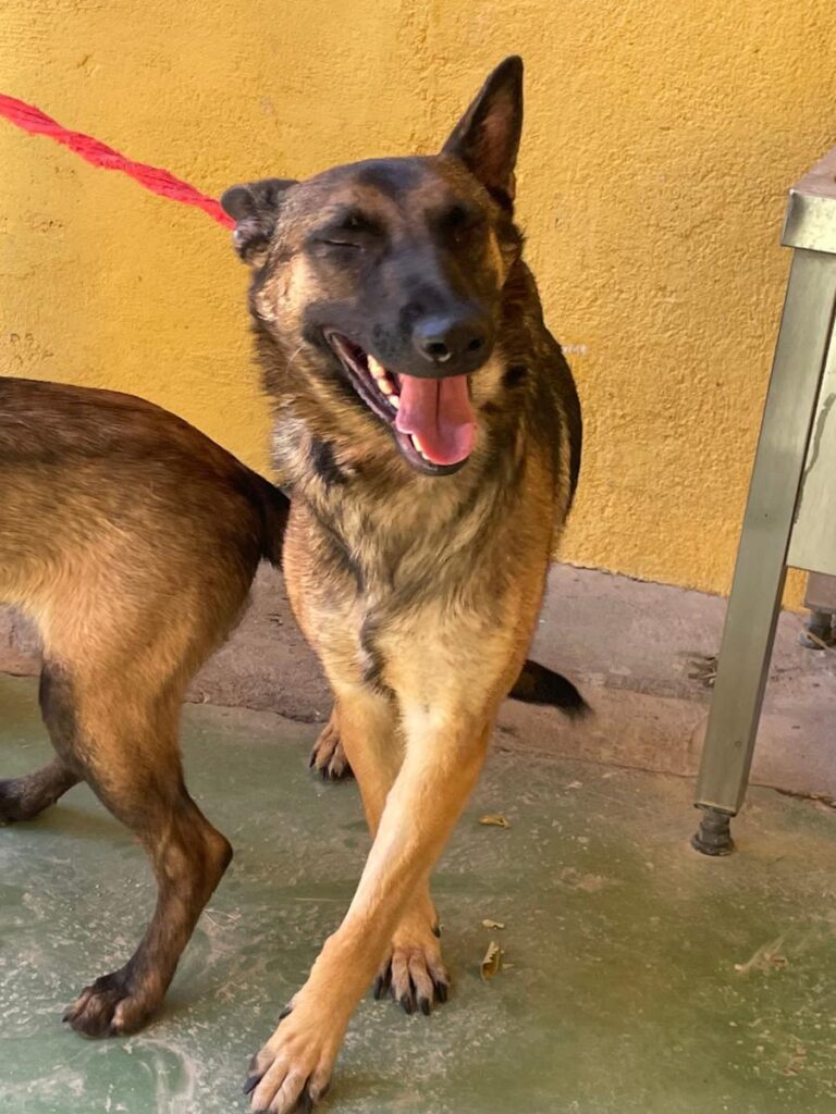 multimedia-foto79745-850-1