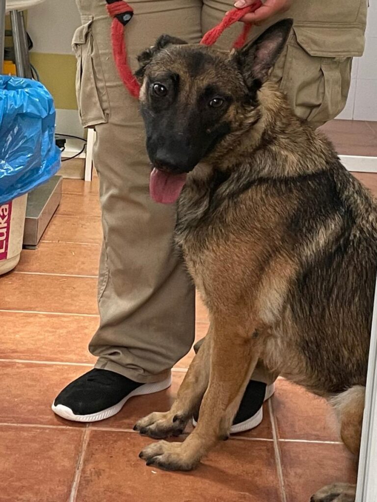 multimedia-foto79746-850-1